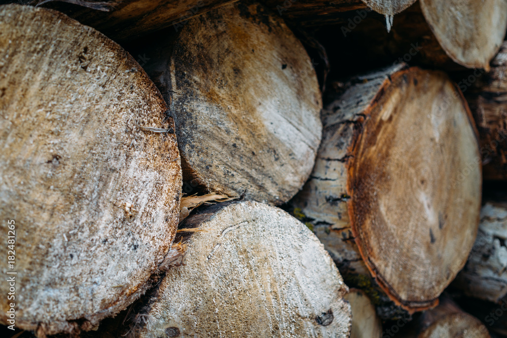 Wooden natural cut logs textured background Wooden natural cut logs textured background