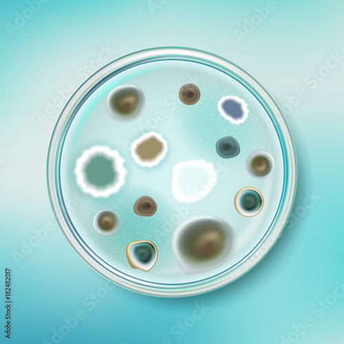 Petri dish with mold colonies