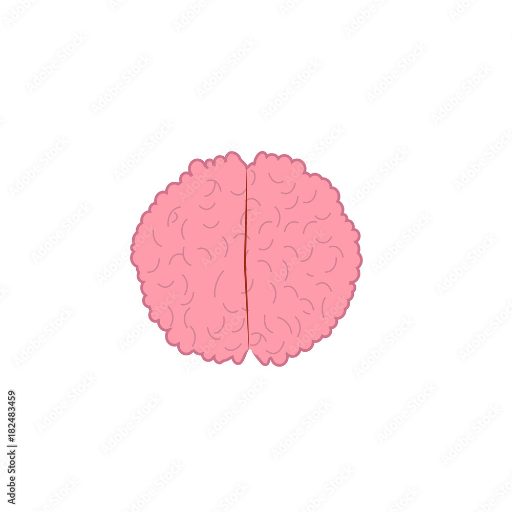 braian vector illustration braian vector illustration