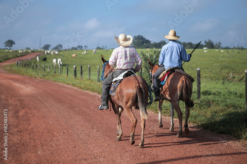cowboy riding a horse in farm © alan