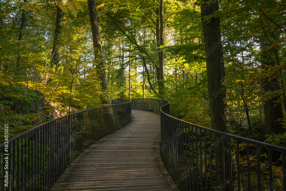Obraz premium Felsenmeer in Hemer im Herbst