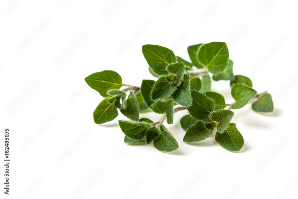 Thyme on a wooden background. Thyme on a wooden background.
