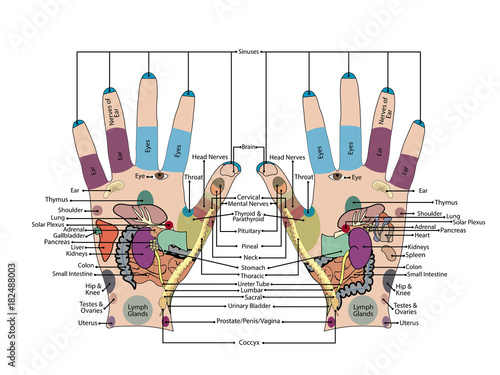 Acupuncture - Hand Vector Illustration