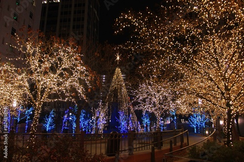 Christmas Lights in the City