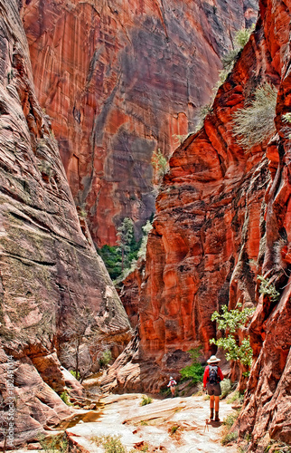 Hikers in the red rock canyons of Zion National Park, Utah