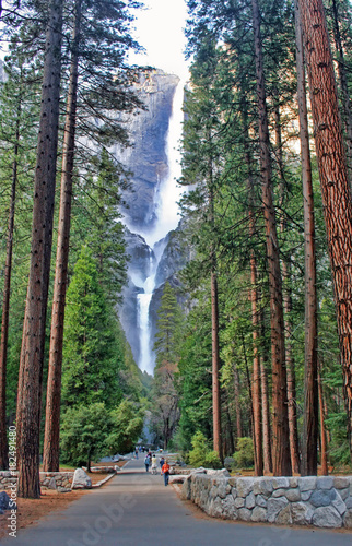 Yosemite Falls seen through the trees on the valley floor in Yosemite National Park, California photo
