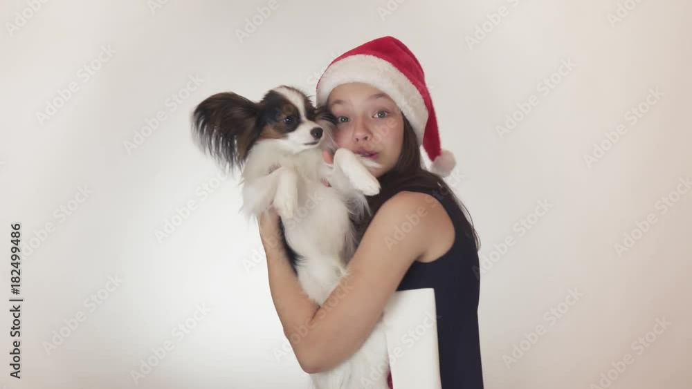 Beautiful teen girl in a Santa Claus cap and dog Continental Toy Spaniel Papillon joyfully kissing and fooling around on white background stock footage video. Beautiful teen girl in a Santa Claus cap and dog Continental Toy Spaniel Papillon joyfully kissing and fooling around on white background stock footage video.