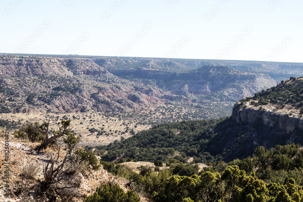 Rim of the canyon