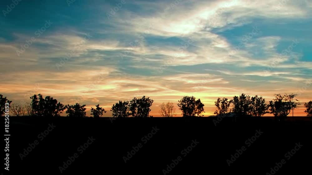 Panning shot across a small tree line silhouetted against a sunset in Palm Desert Panning shot across a small tree line silhouetted against a sunset in Palm Desert