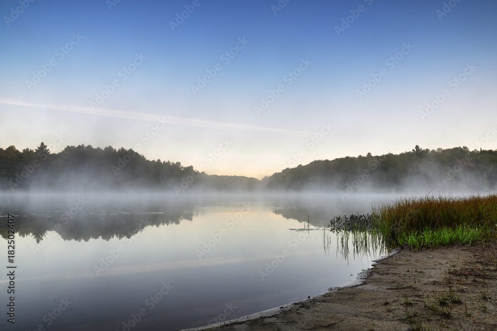 Fototapeta premium Reflections