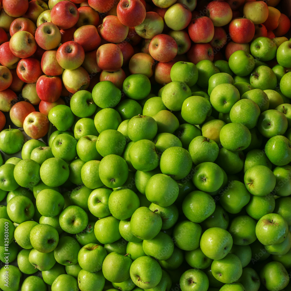Bunch of green and red apples displayed at market place. Bunch of green and red apples displayed at market place.