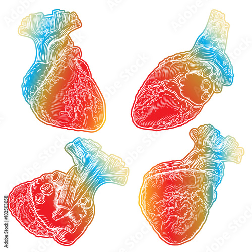 Set of red human hearts with aorta, veins and arteries isolated on white background. For cardiology or medical design. Hand drawn flesh tattoo concept. Vector.
