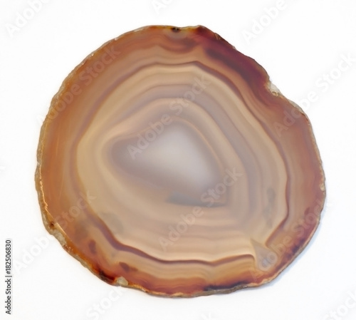 Vibrant and shiny agate rock slice isolated on white background