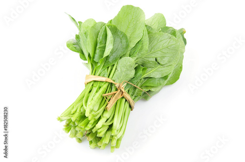 Vegetables cabbage on a white background 