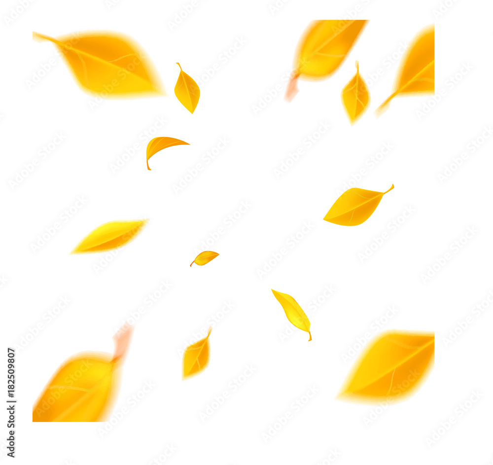  flying yellow leaves on wind, white background vector illustration