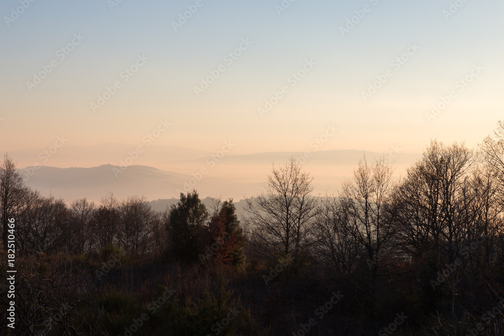A sea of fog between some hills and some more distant mountains, with a line of trees in the foreground. It's sunset, so the colors are warm and soft
