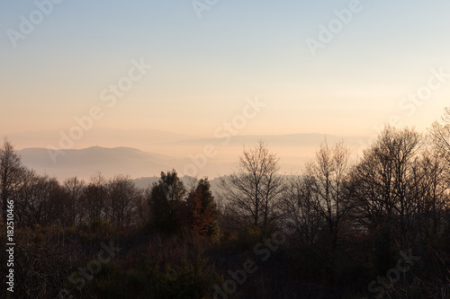 A sea of fog between some hills and some more distant mountains, with a line of trees in the foreground. It's sunset, so the colors are warm and soft © Massimo