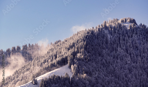 snow covered mountain with trees