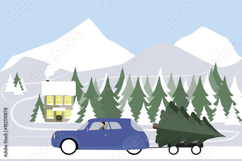 Man drives in a retro car on a winter road. A large Christmas tree in a trailer. Winter snow forest at day, christmas. Vector illustration.