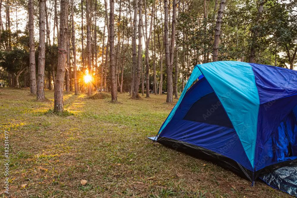 Blue camping Tents in Nature background with sunset and light flare  in  forest pine tree at Thung Salaeng Luang National Park Phitsanulok and Phetchabun Provinces of Thailand.