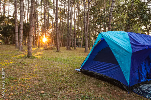 Blue camping Tents in Nature background with sunset and light flare in forest pine tree at Thung Salaeng Luang National Park Phitsanulok and Phetchabun Provinces of Thailand.