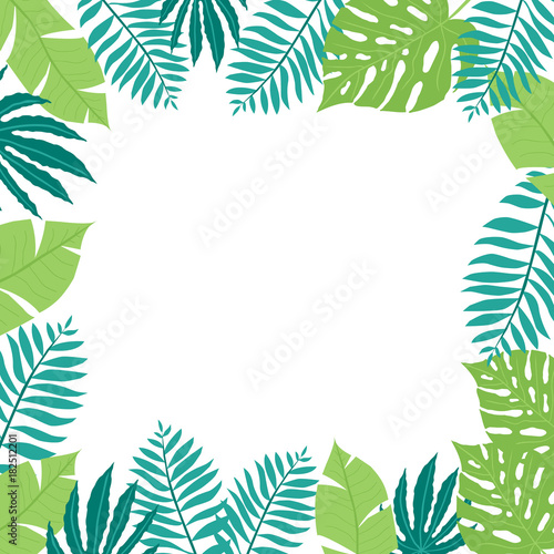 Hand drawn tropic frame