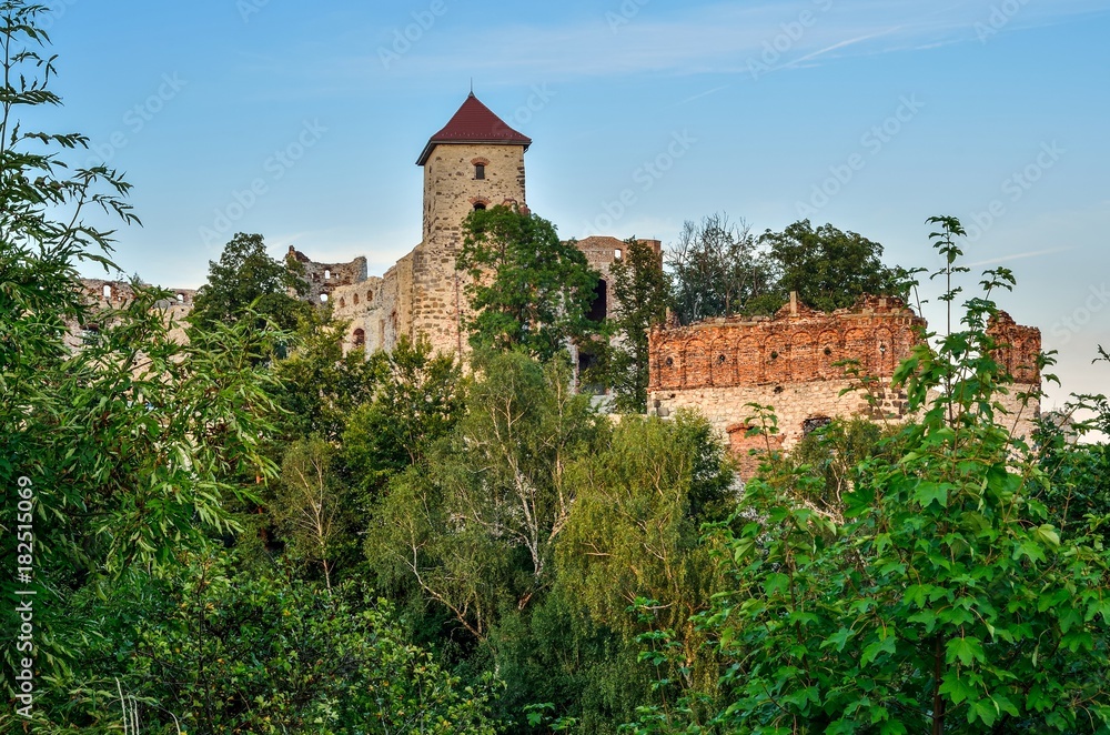 Beautiful castle ruins. Tenczyn castle in Rudno, Poland.