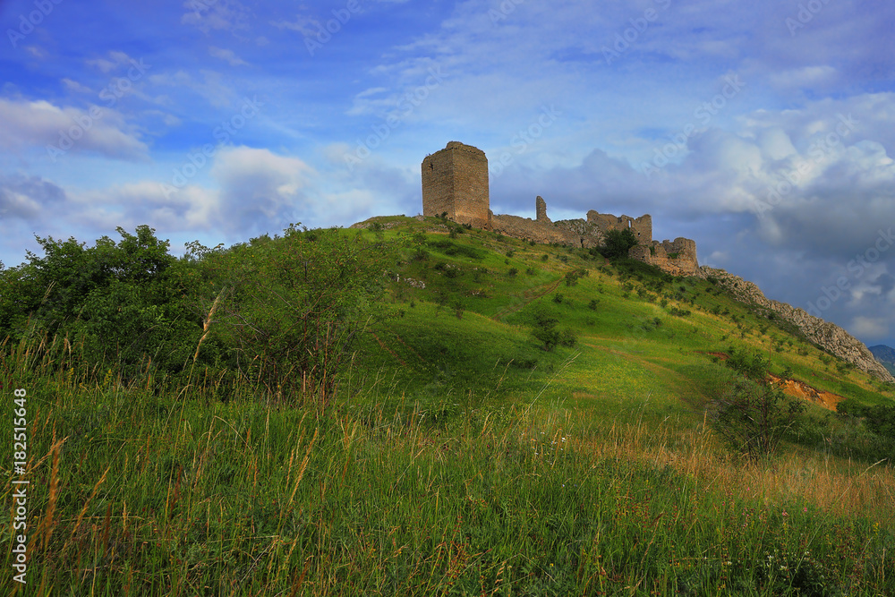 Coltesti fortress in a rainy day