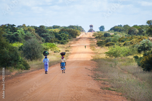 The road to Mapai, Mozambique photo