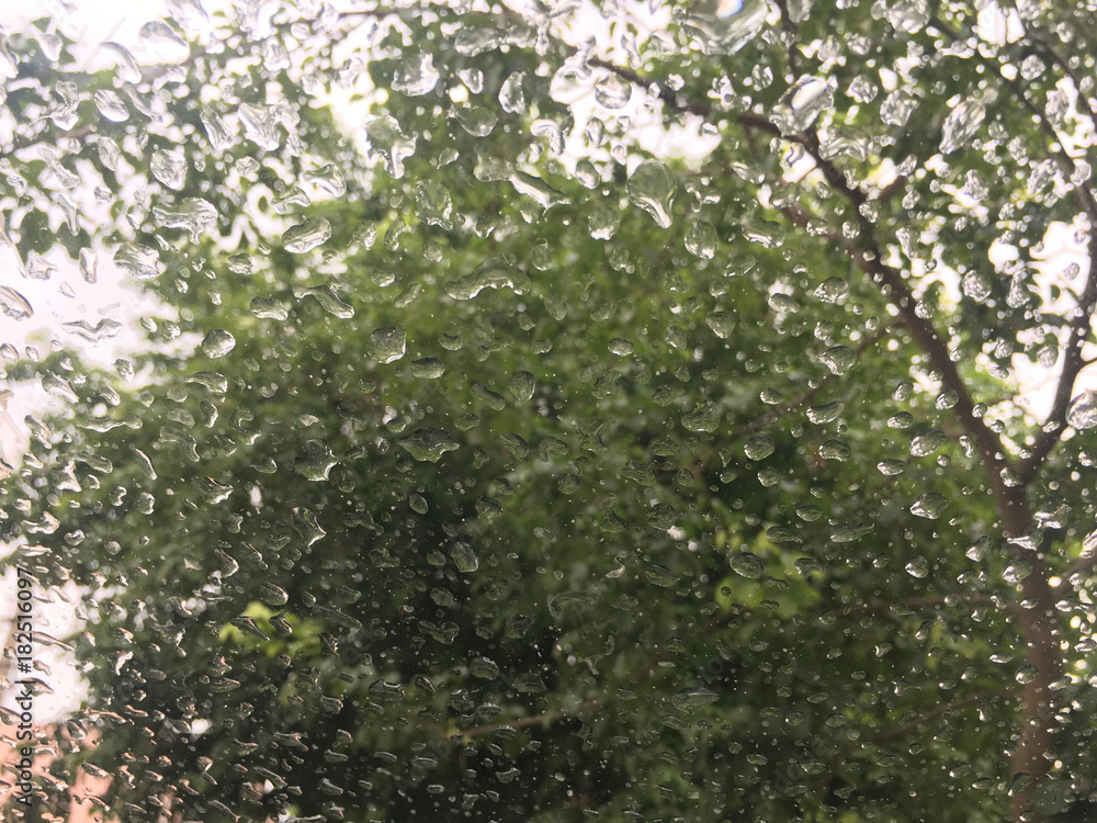 Water Droplets on Window Glass