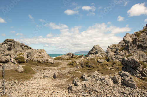 Boulders At Wainuiomata Beach 