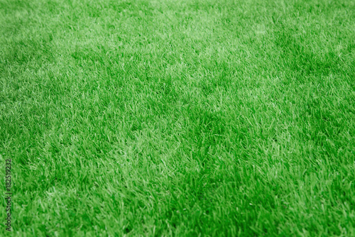 Artificial grass background