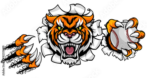 Tiger Holding Baseball Ball Breaking Background