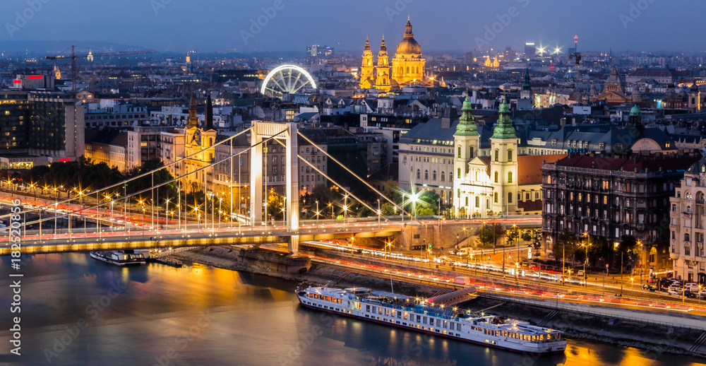 Fototapeta premium Elisabeth Bridge - Budapest