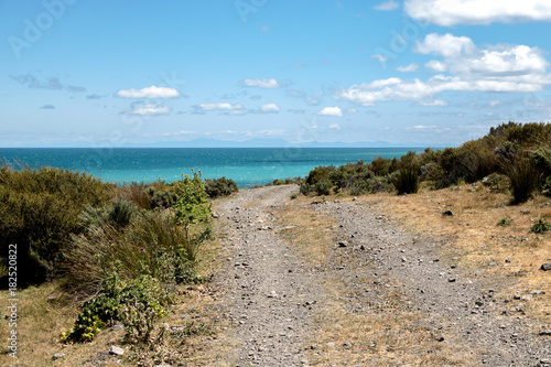 Beach Road In New Zealand 