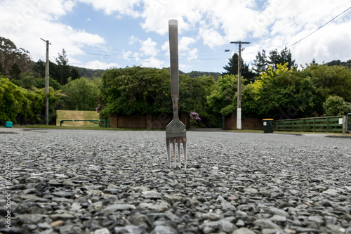 Literal Fork In The Road 