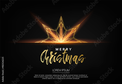 Elegant Christmas background with bhining gold snowflakes template for banner, flyer or card design. Christmas glowing golden star. Vector illustration