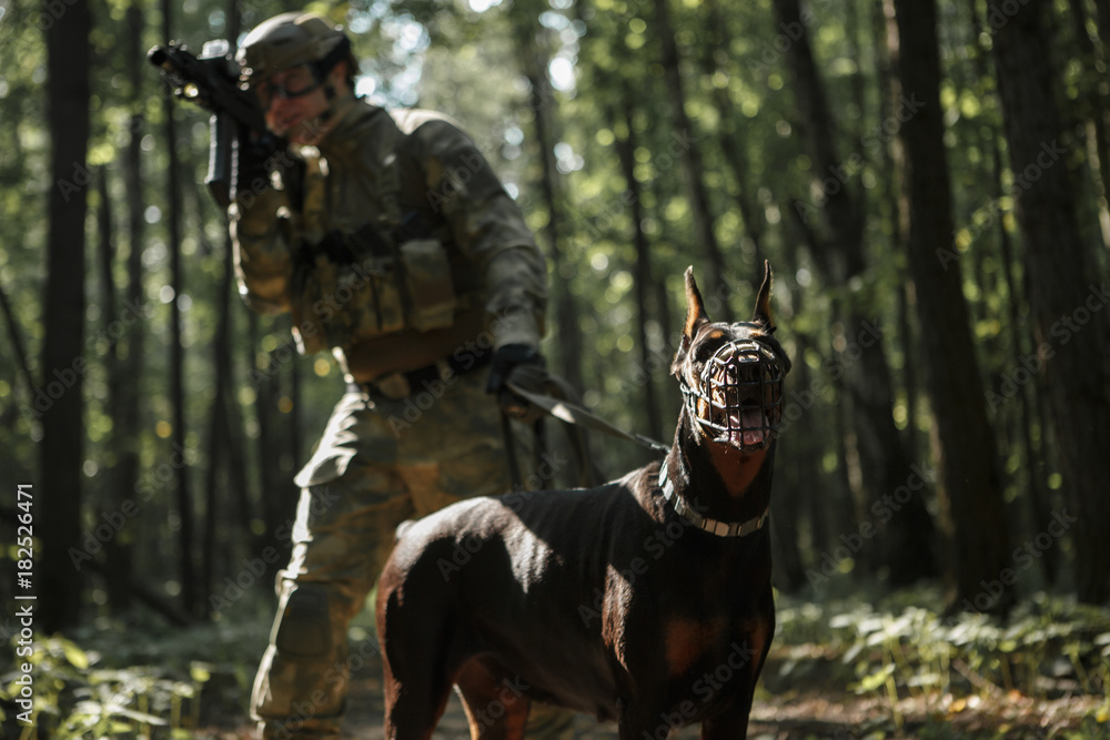 Image of airsoft player with dog and submachine gun foto de Stock