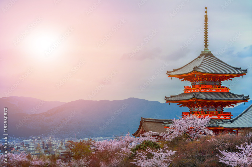 Fototapeta Evening. Pagoda with sky and cherry blossoms on the background.