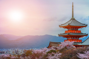 Papier peint photo Kyoto Pagode au crépuscule et cerisiers fleuris  © OlgaDm