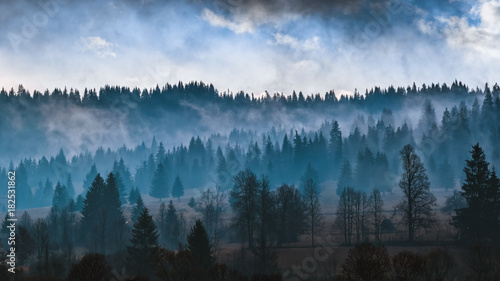 autumn landscape with fog © Felix
