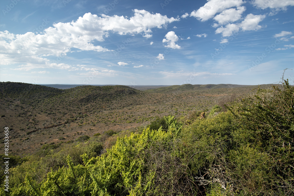 Fototapeta premium Landscape of Addo Elephant National Park in August, South Africa