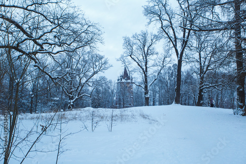 Winter park in the evening covered with snow