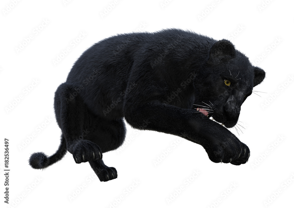 3D Rendering Black Panther on White