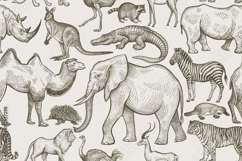 Seamless pattern with animals.