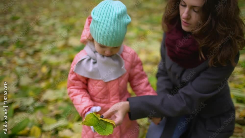 daughter with her mother collecting autumn leaves in the park. In autumn, when yellow leaves around young beautiful mom and girl playing with leaves, laughing and smiling. slow-motion daughter with her mother collecting autumn leaves in the park. In autumn, when yellow leaves around young beautiful mom and girl playing with leaves, laughing and smiling. slow-motion