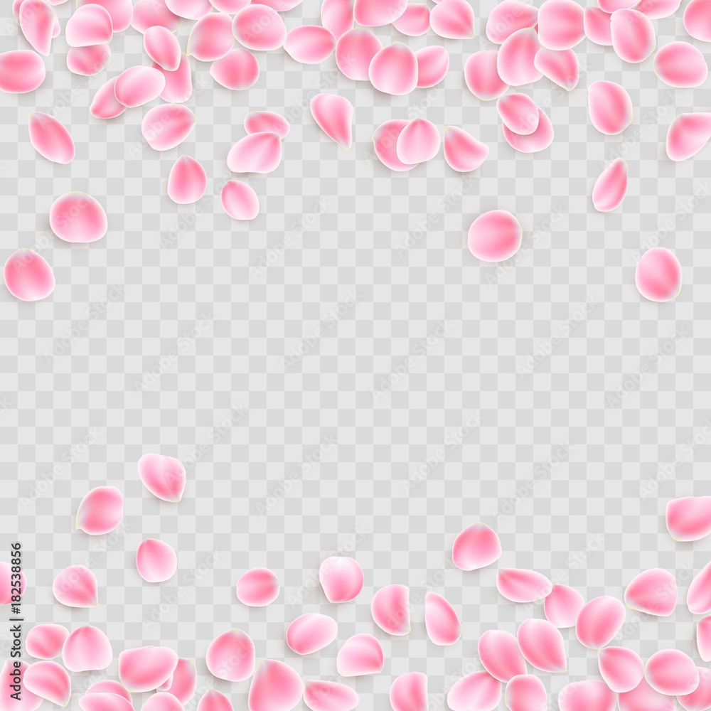 Pink petals Isolated on transparent background. EPS 10 vector
