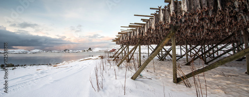 Foto Producing stockfish from cod, Lofoten