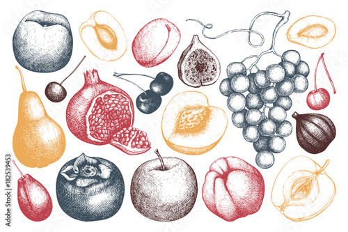 Vintage fruits and berries - fig, apple, pear,  peach, apricot, persimmon, pomegranate, quince, grapes. Hand drawn harvest sketch. Summer or autumn design.