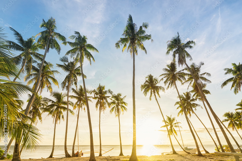 Philippines. Sunset and coconut palms on the shore. Philippines. Sunset and coconut palms on the shore.